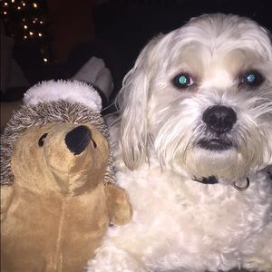 Meet your Posher, Emily